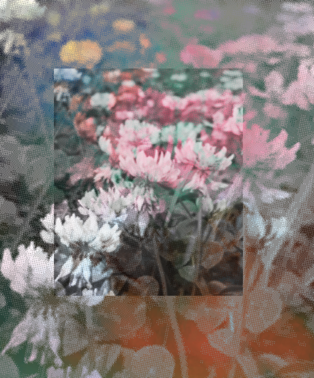 Meliponário Pólen Dourado artwork